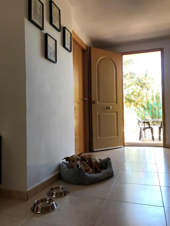 Villa Jazmin 모나칠 외부 사진